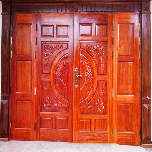 Gỗ dổi là gì, cửa gỗ dổi có tốt không?